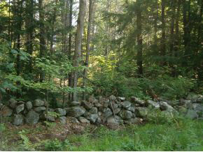 Lot 7 Pratt Road, Effingham, NH 03882