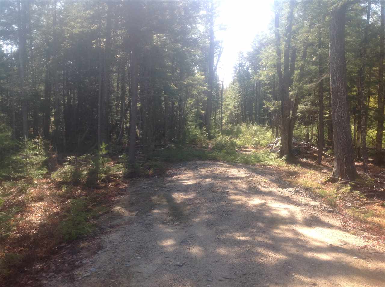 0 Province Lake Road, Effingham, NH 03882