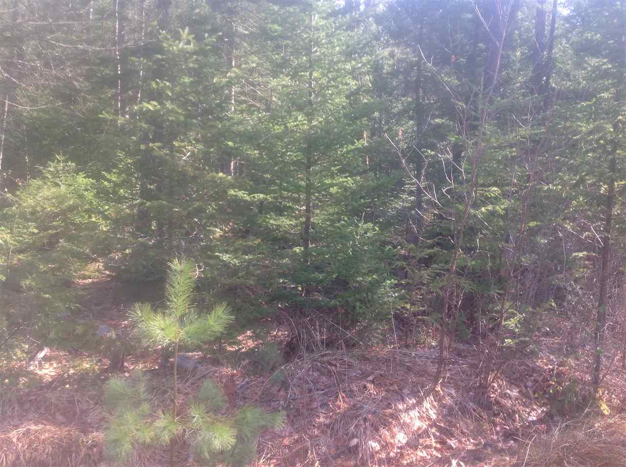 0 Province Lake Road, Effingham, NH 03882