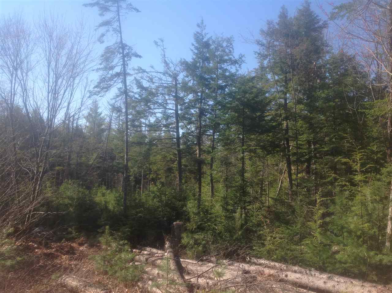 0 Province Lake Road, Effingham, NH 03882