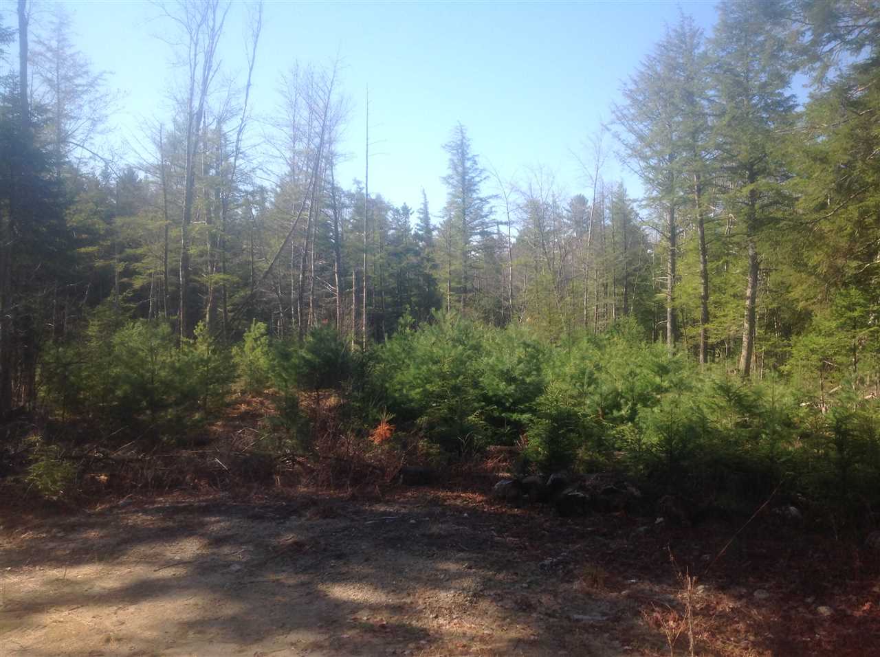 0 Province Lake Road, Effingham, NH 03882