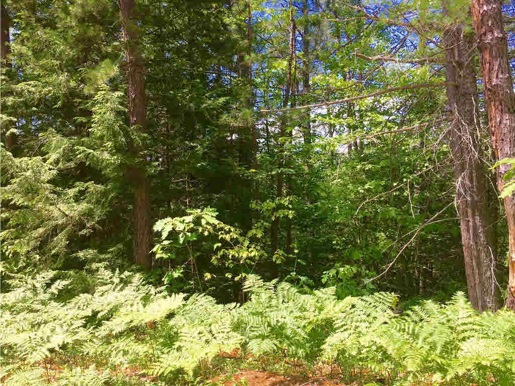 00 S Chocorua River Road, Tamworth, NH 03886