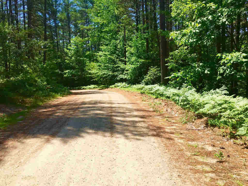00 S Chocorua River Road, Tamworth, NH 03886