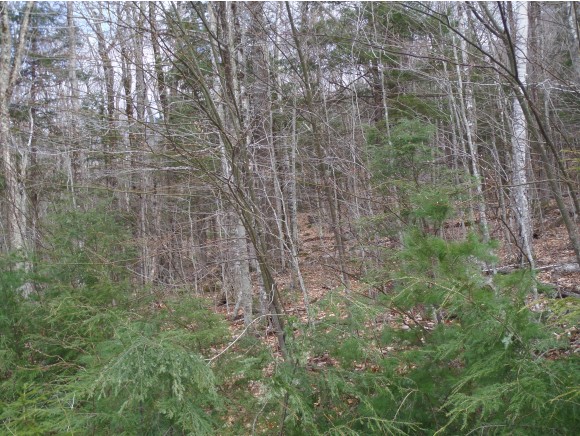 31 Swift River Way, Albany, NH 03886