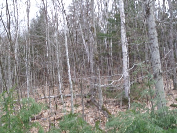 31 Swift River Way, Albany, NH 03886