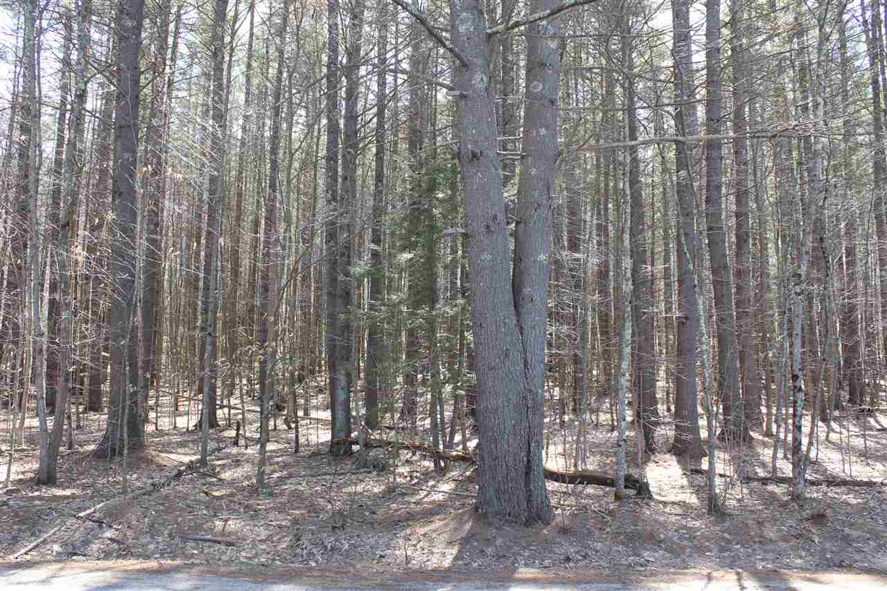 315+305 Newman Drew Road, Ossipee, NH 03890