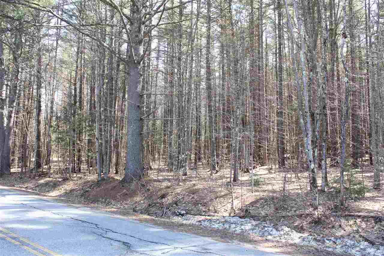 315+305 Newman Drew Road, Ossipee, NH 03890