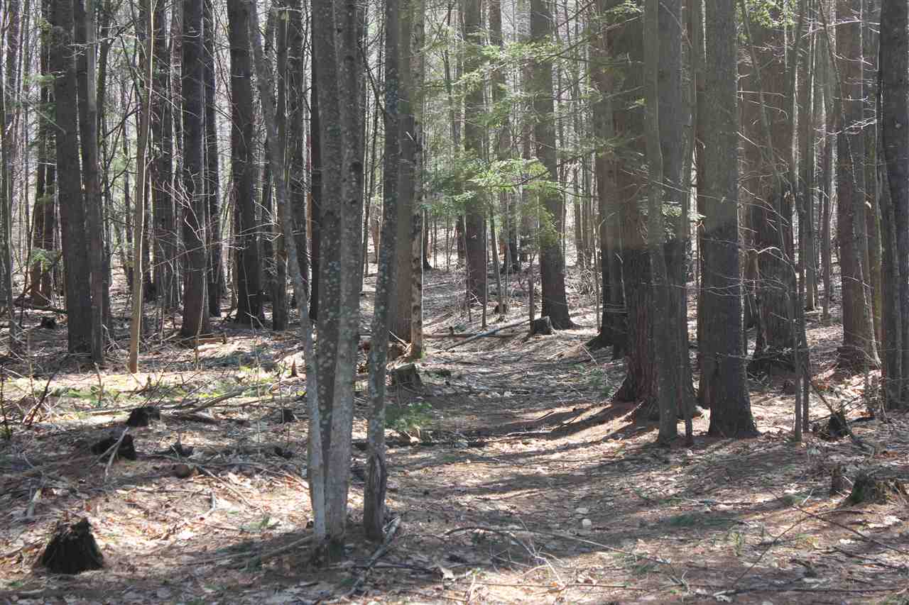 315+305 Newman Drew Road, Ossipee, NH 03890