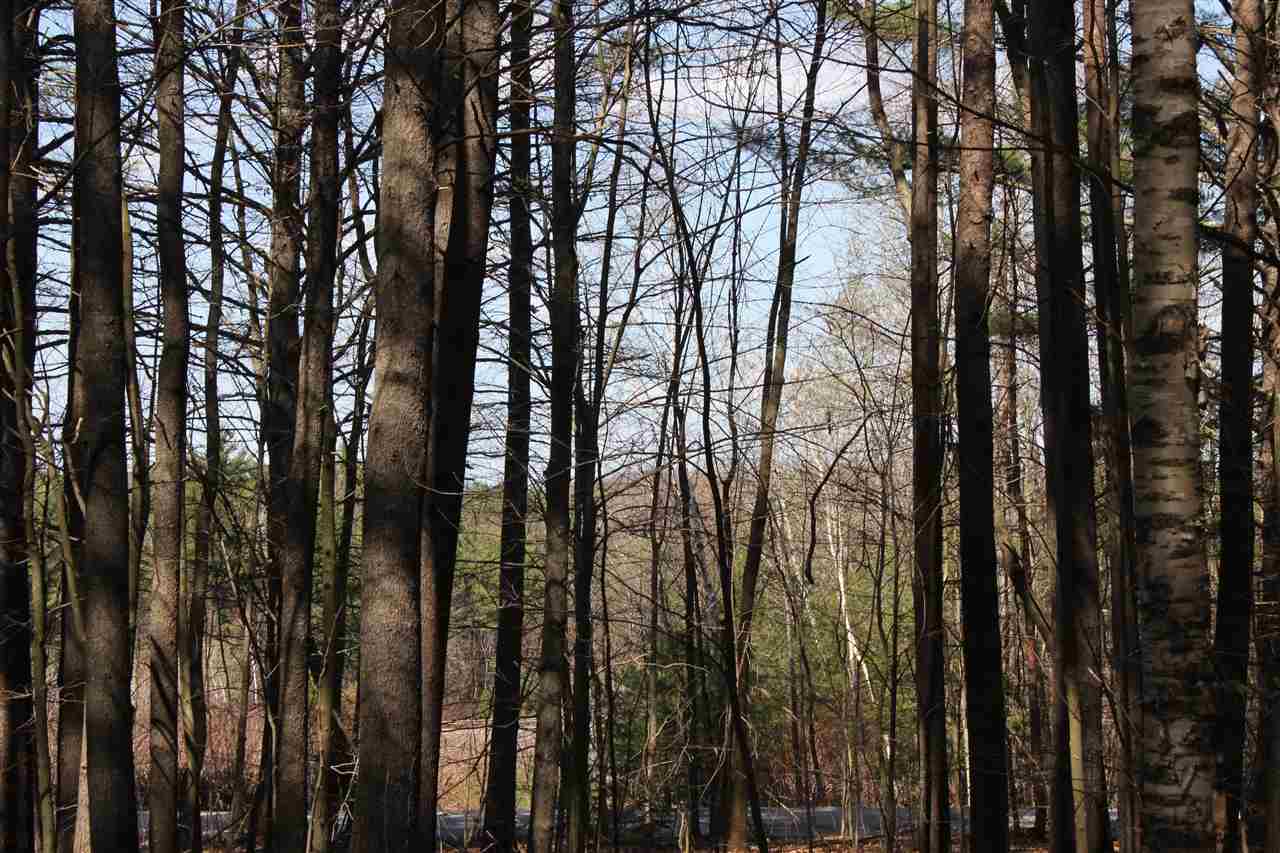 315+305 Newman Drew Road, Ossipee, NH 03890