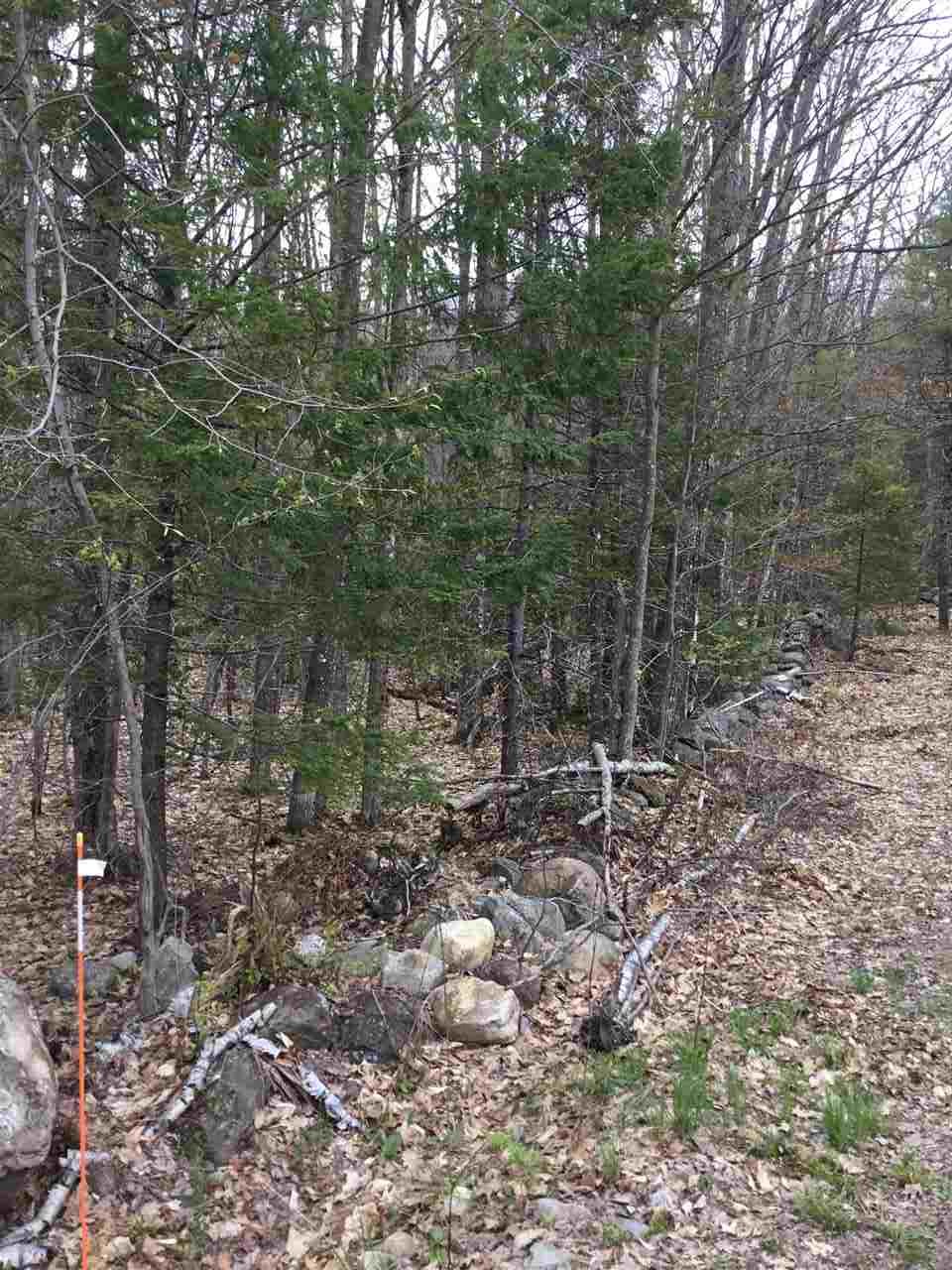 lot 21 Penn Air, Wolfeboro, NH 03894