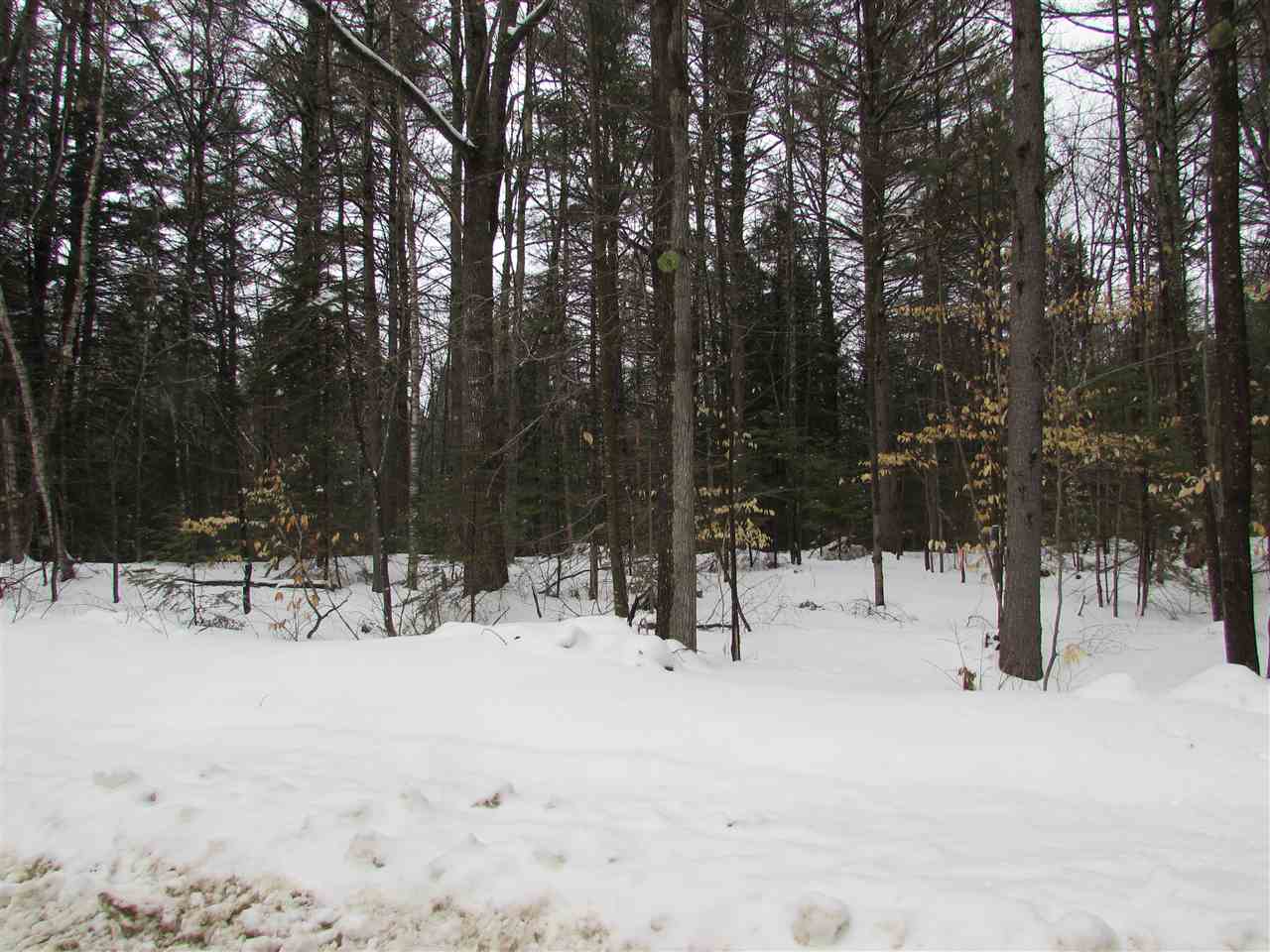 Lot 1 Haines Hill Road, Wolfeboro, NH 03894