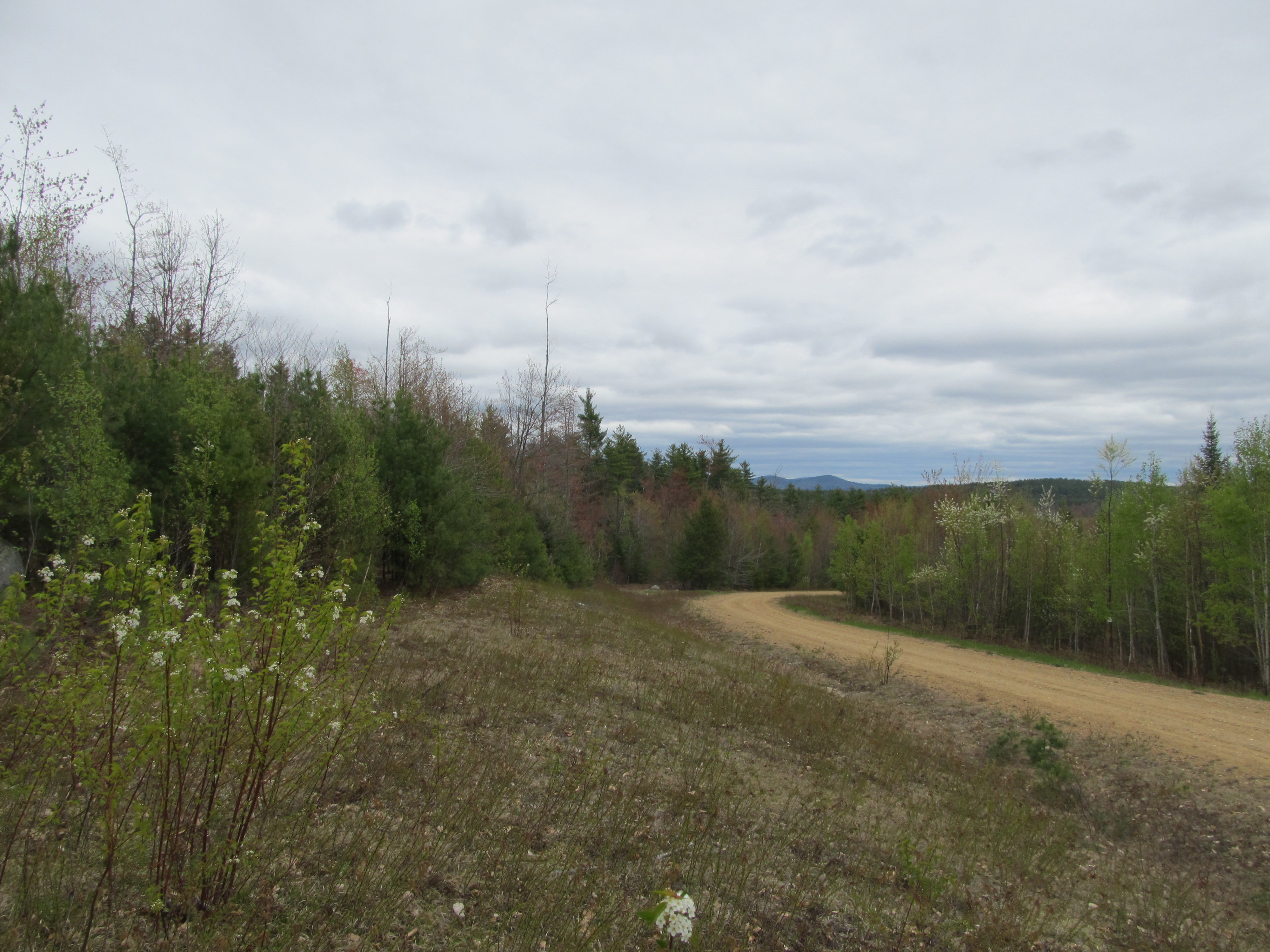7 Hill Farm Lane, Fryeburg, NH 04037