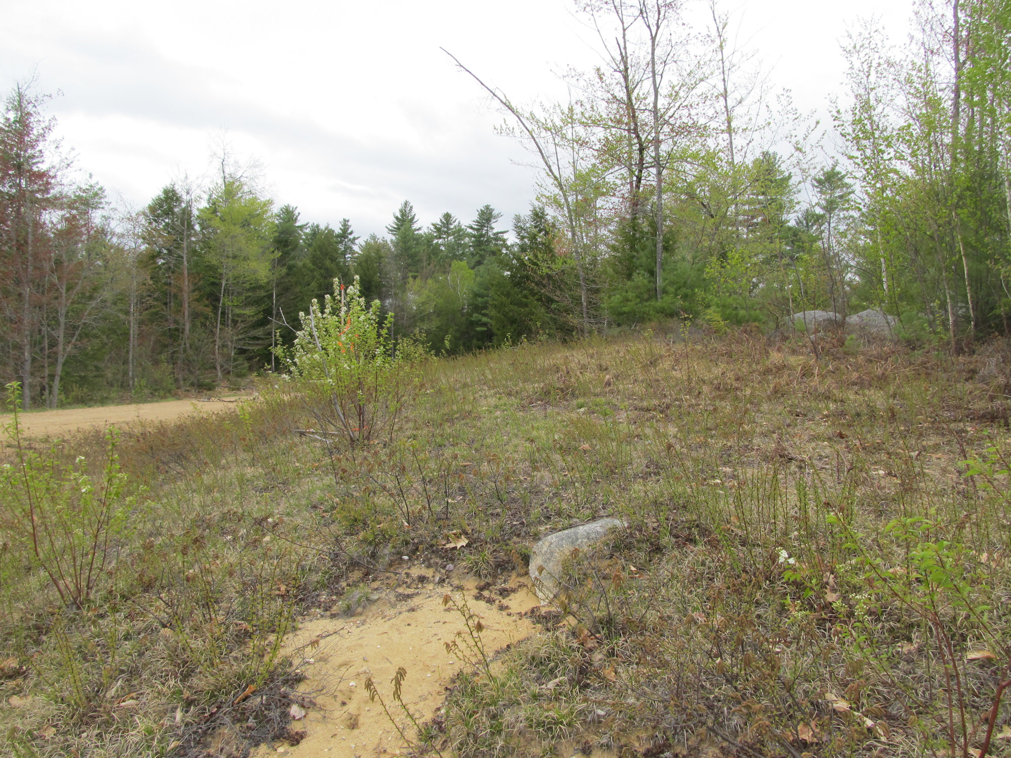 7 Hill Farm Lane, Fryeburg, NH 04037