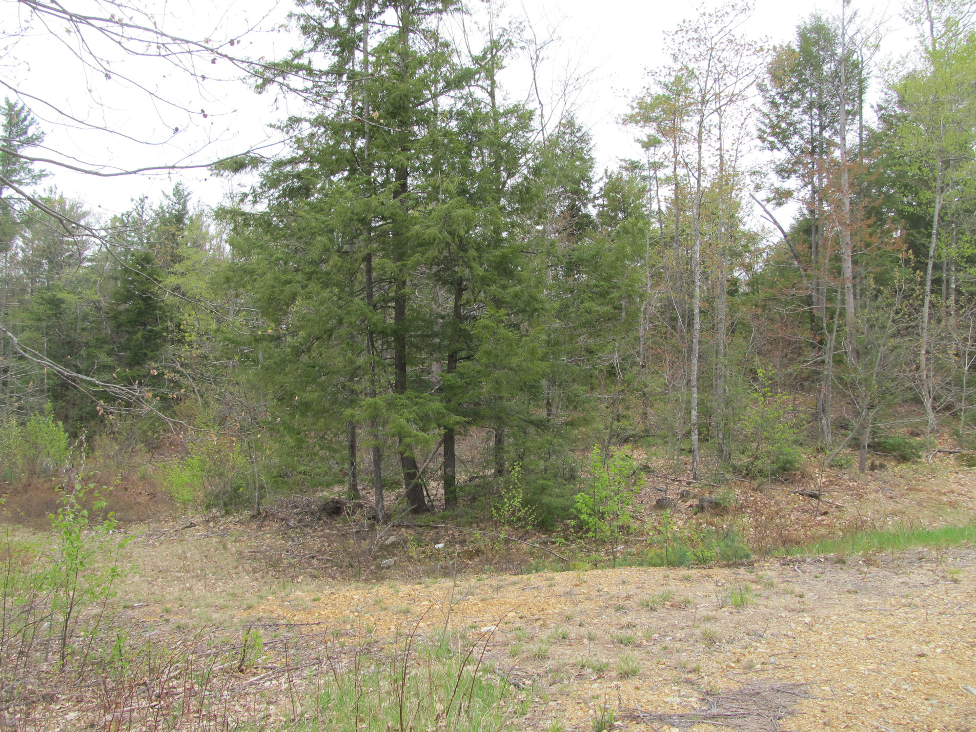 7 Hill Farm Lane, Fryeburg, NH 04037