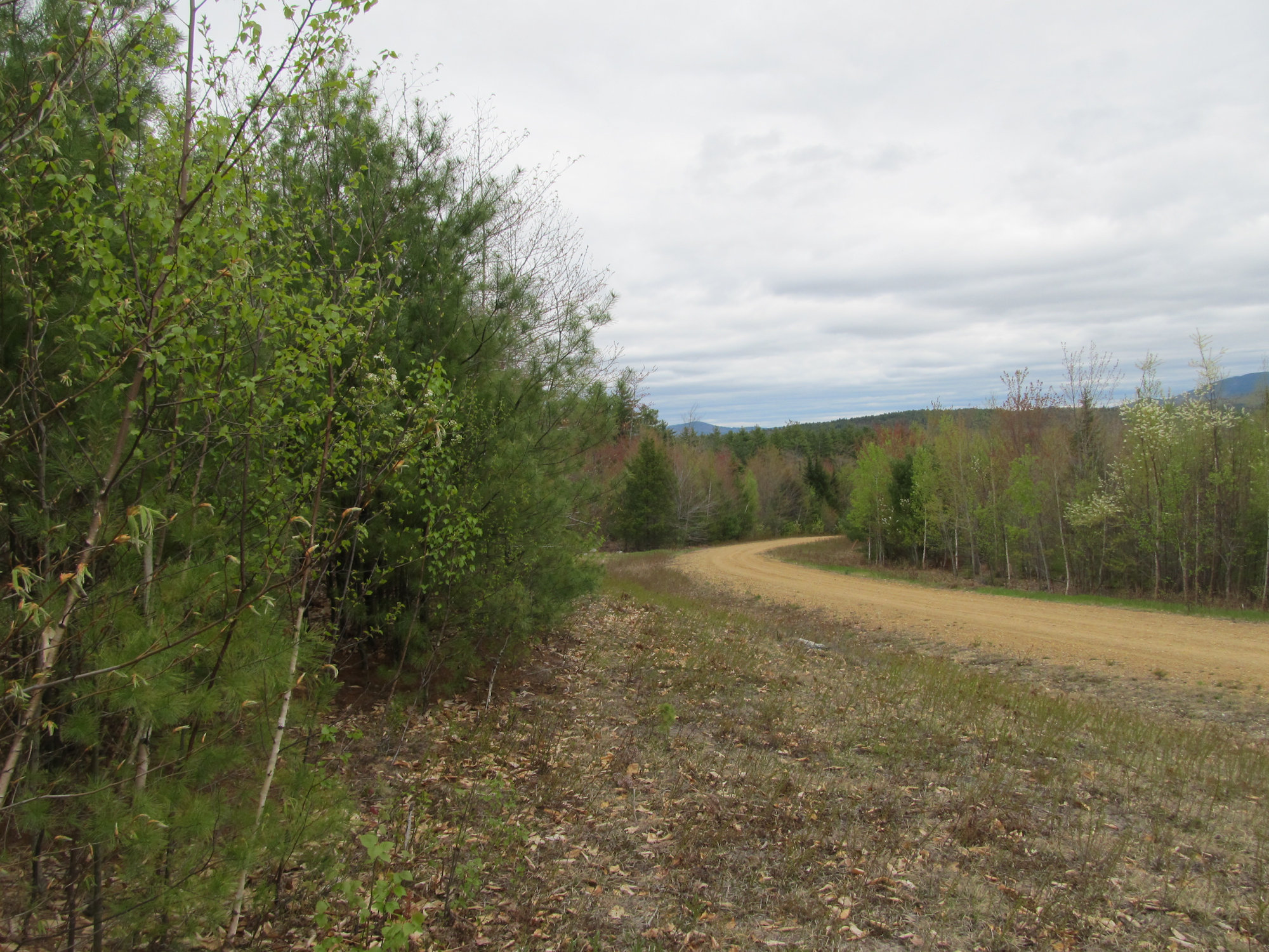 8 Hill Farm Lane, Fryeburg, NH 04037