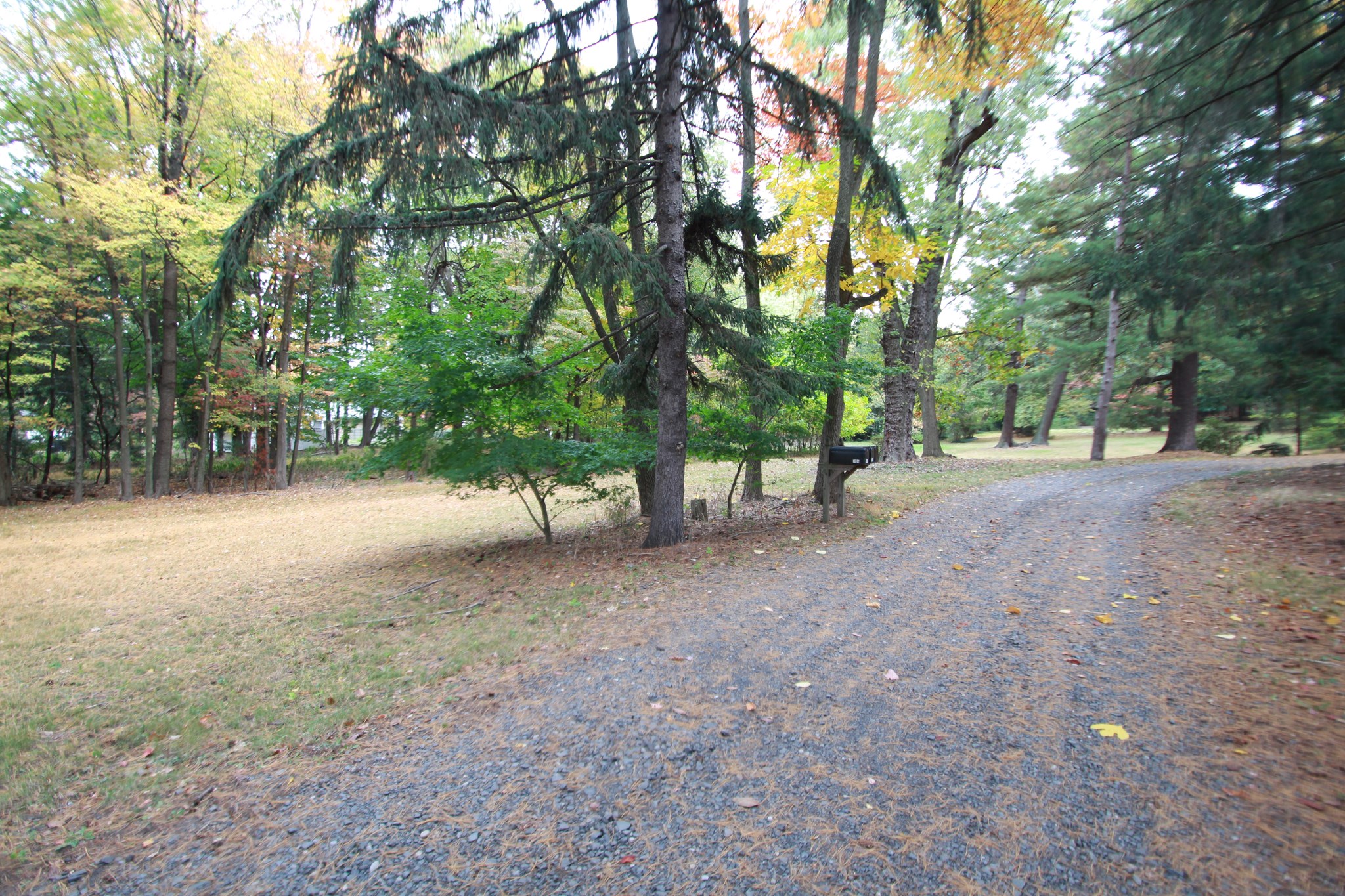 3105-3109-3107 Park Ave, South Plainfield, NJ 07080