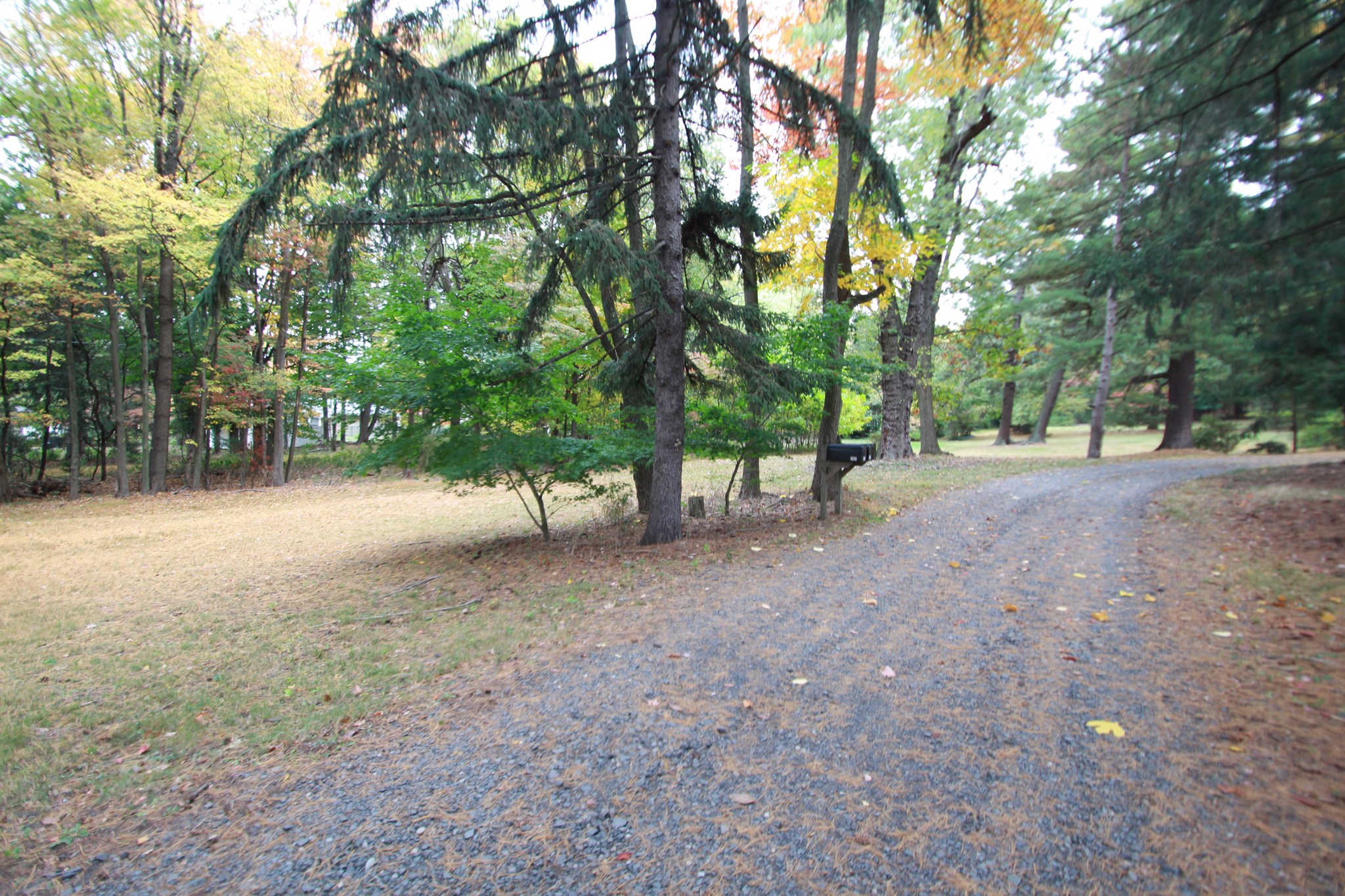 3105-3109-3107 Park Ave, South Plainfield, NJ 07080