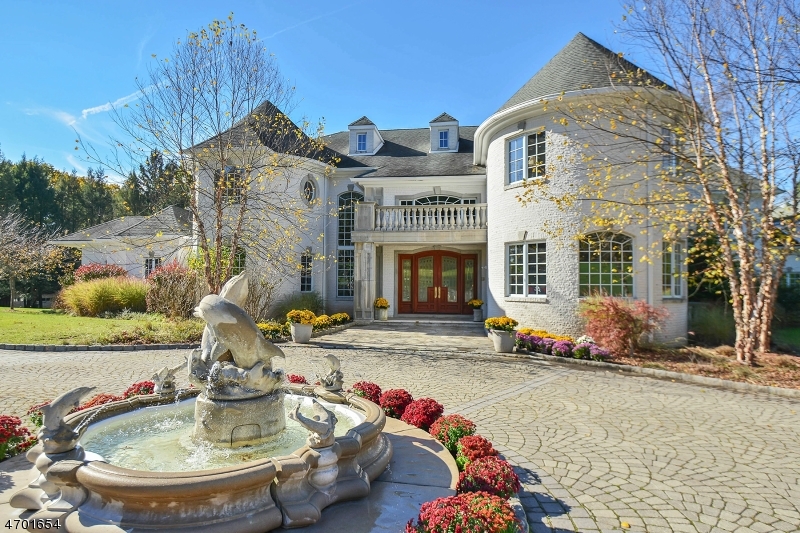 229 E Saddle River Rd, Saddle River Boro, NJ 07458