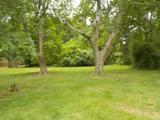 637 Wayside RdNeptune, NJ, 07753Monmouth County