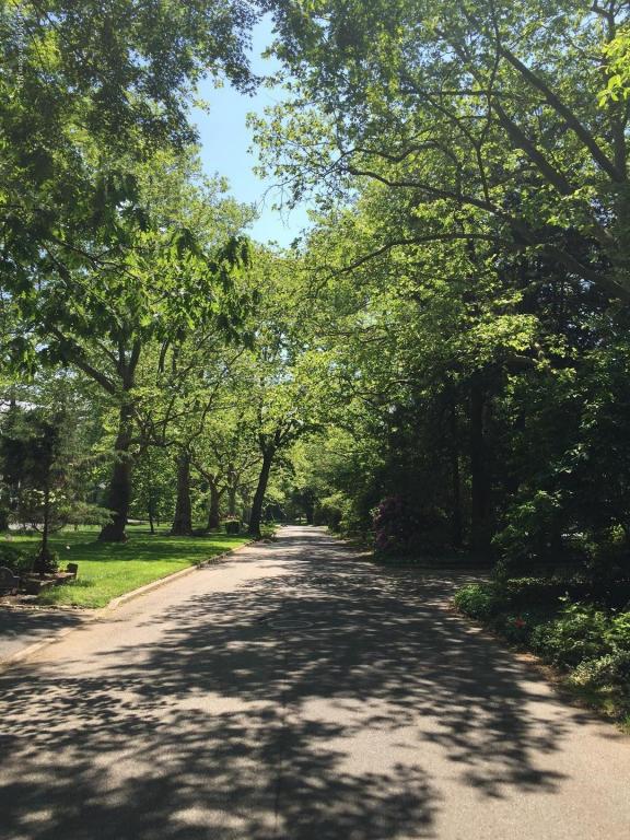 14 Buttonwood Lane, Rumson, NJ 07760