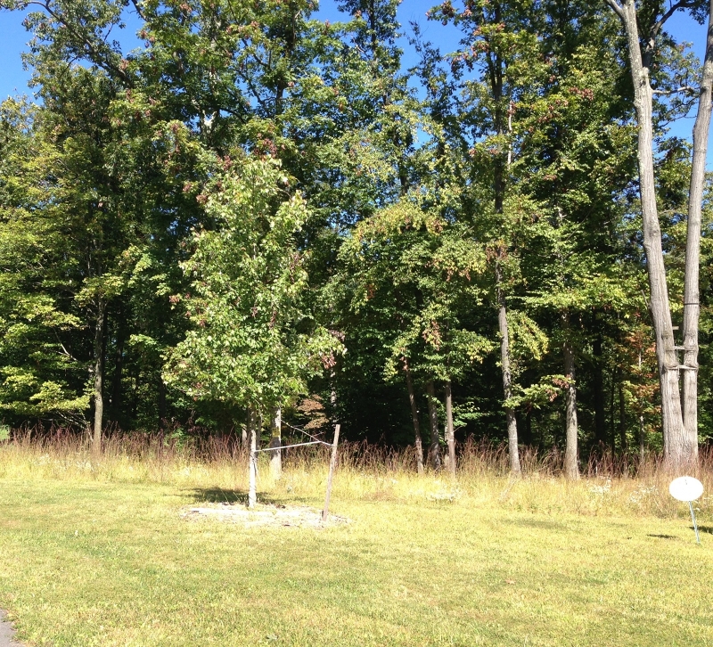 4 Preserve Lane, Bernardsville Boro, NJ 07924