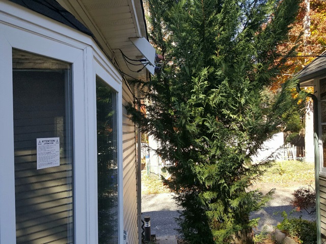 14 Barry AveClementon, NJ, 08021Camden County