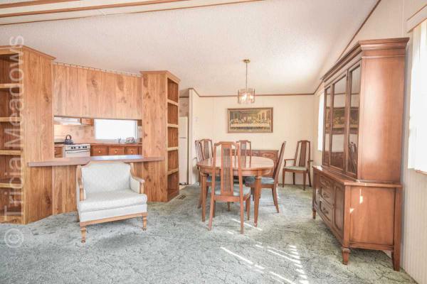 Tricia Meadows 802 Woodchuck DriveMount Laurel, NJ 08054