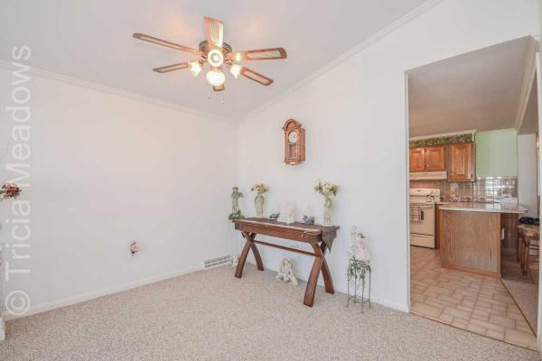 Tricia Meadows 265 N. Pond DriveMount Laurel, NJ 08054