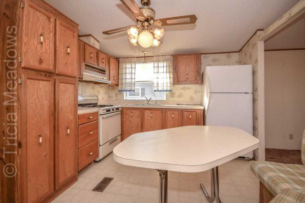 Tricia Meadows 911 Koala LaneMount Laurel, NJ 08054