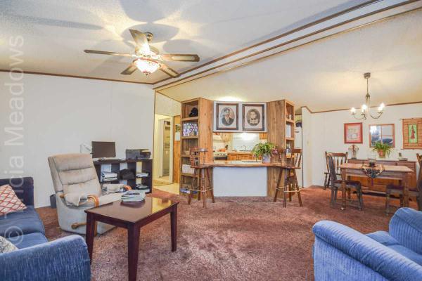 Tricia Meadows 1102 Lemur LaneMount Laurel, NJ 08054