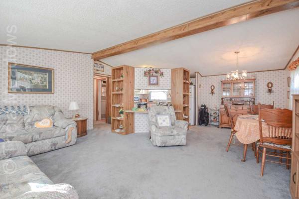 Tricia Meadows 245 N. Pond DriveMount Laurel, NJ 08054