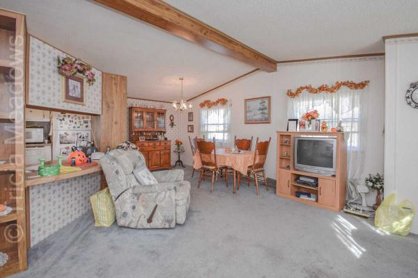 Tricia Meadows 245 N. Pond DriveMount Laurel, NJ 08054