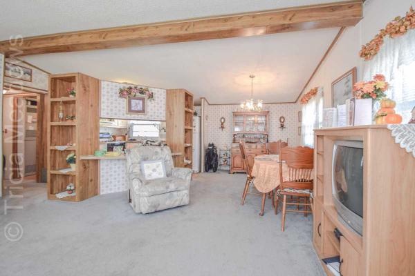 Tricia Meadows 245 N. Pond DriveMount Laurel, NJ 08054