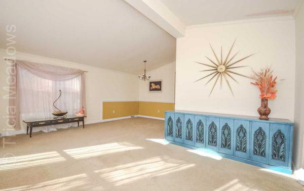 Tricia Meadows 580 Raccoon LaneMount Laurel, NJ 08054