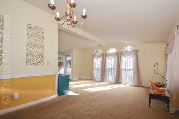 Tricia Meadows 580 Raccoon LaneMount Laurel, NJ 08054