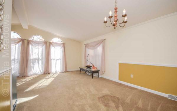 Tricia Meadows 580 Raccoon LaneMount Laurel, NJ 08054