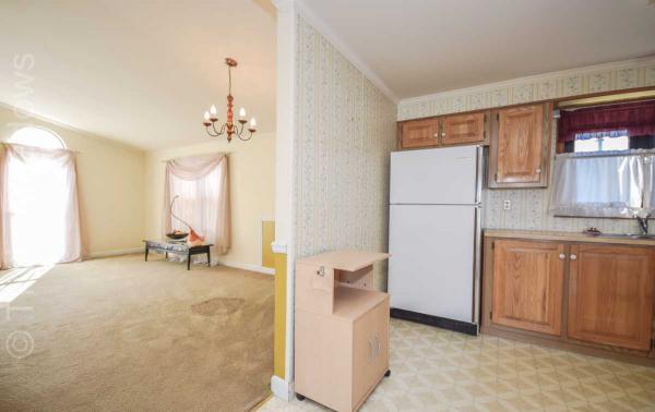 Tricia Meadows 580 Raccoon LaneMount Laurel, NJ 08054