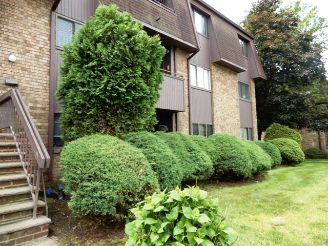 532 Woodmill DrCranbury, NJ, 08512Mercer County