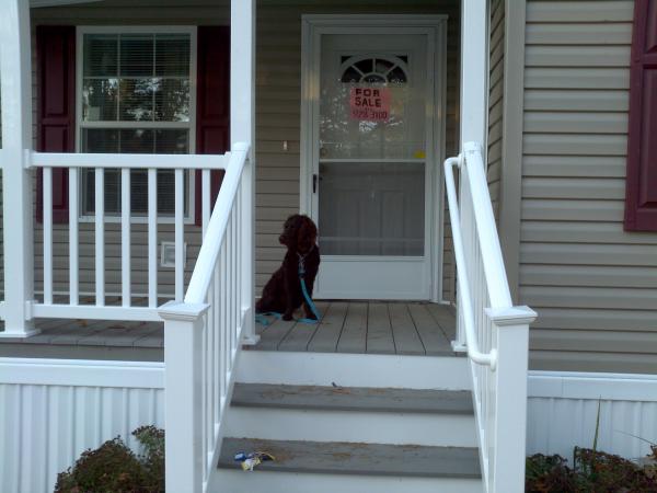 Fountainhead Properties Inc.17 Periwinkle PlaceJackson, NJ 08527