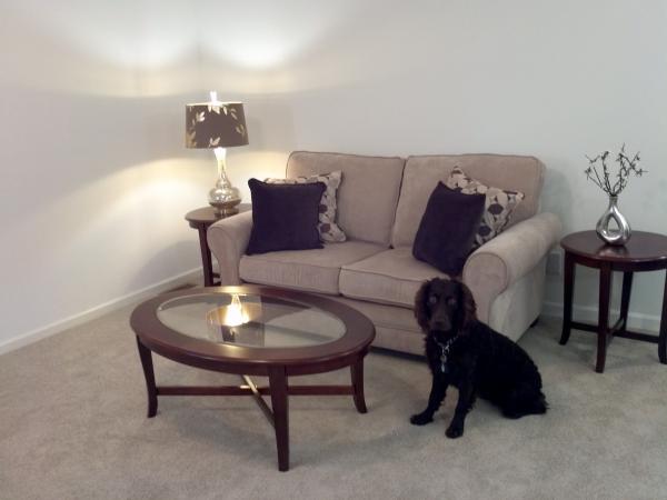Fountainhead Properties Inc.17 Periwinkle PlaceJackson, NJ 08527