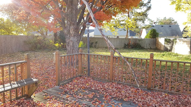 14 Downing RoadTrenton, NJ, 08690Mercer County