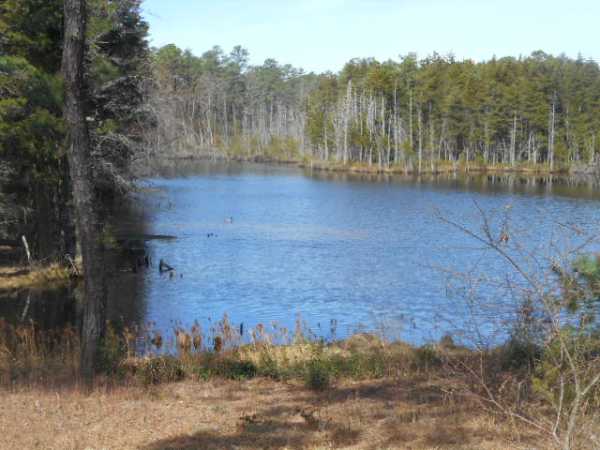 Pine Ridge at Crestwood89 WOODCHUCK PARKWAYWhiting, NJ 08759