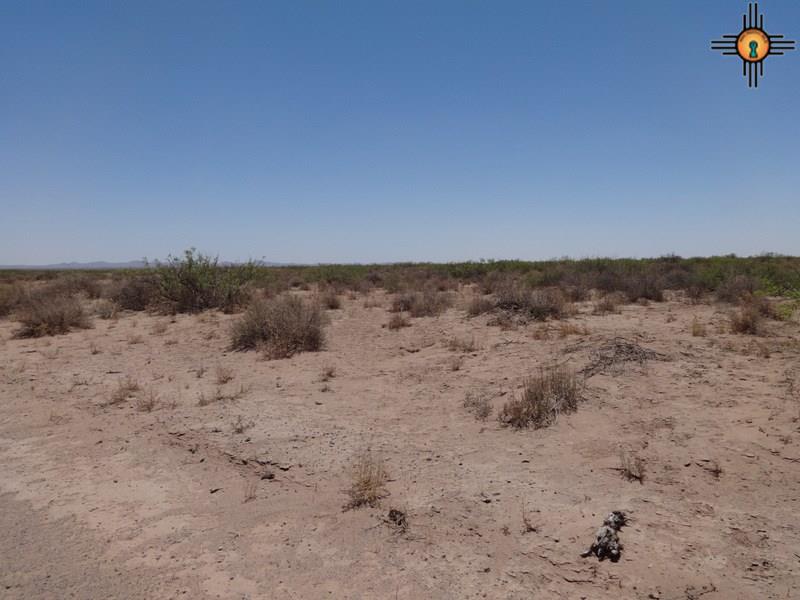0000 Monte Vista Rd SE, Deming, NM 08830