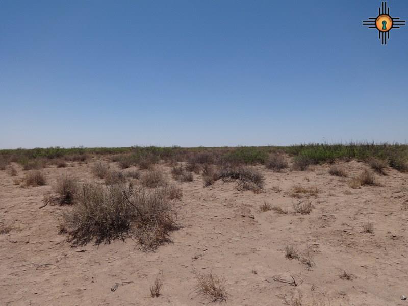 0000 Monte Vista Rd SE, Deming, NM 08830