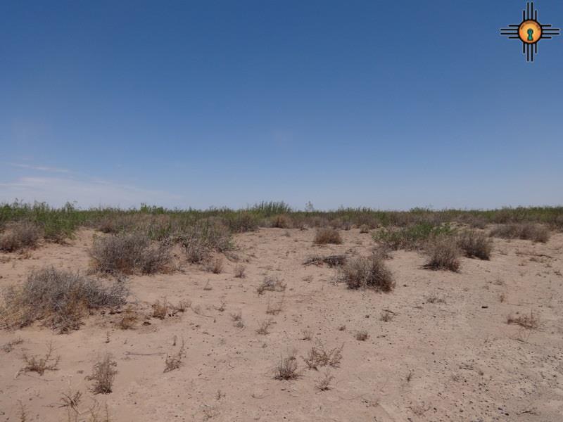 0000 Monte Vista Rd SE, Deming, NM 08830