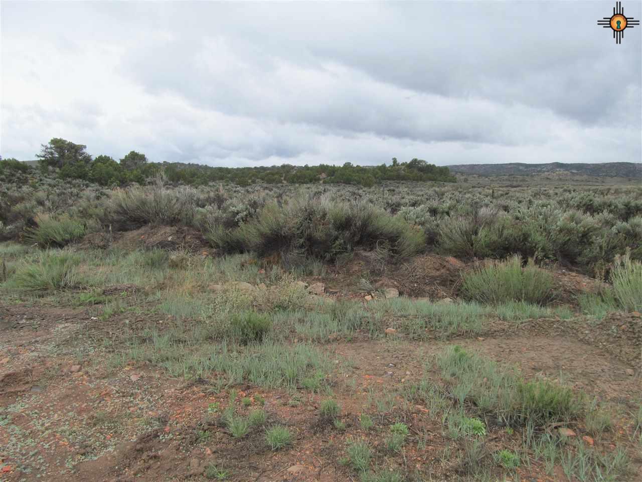 TBD Garden Lane, McKinley, NM 86515