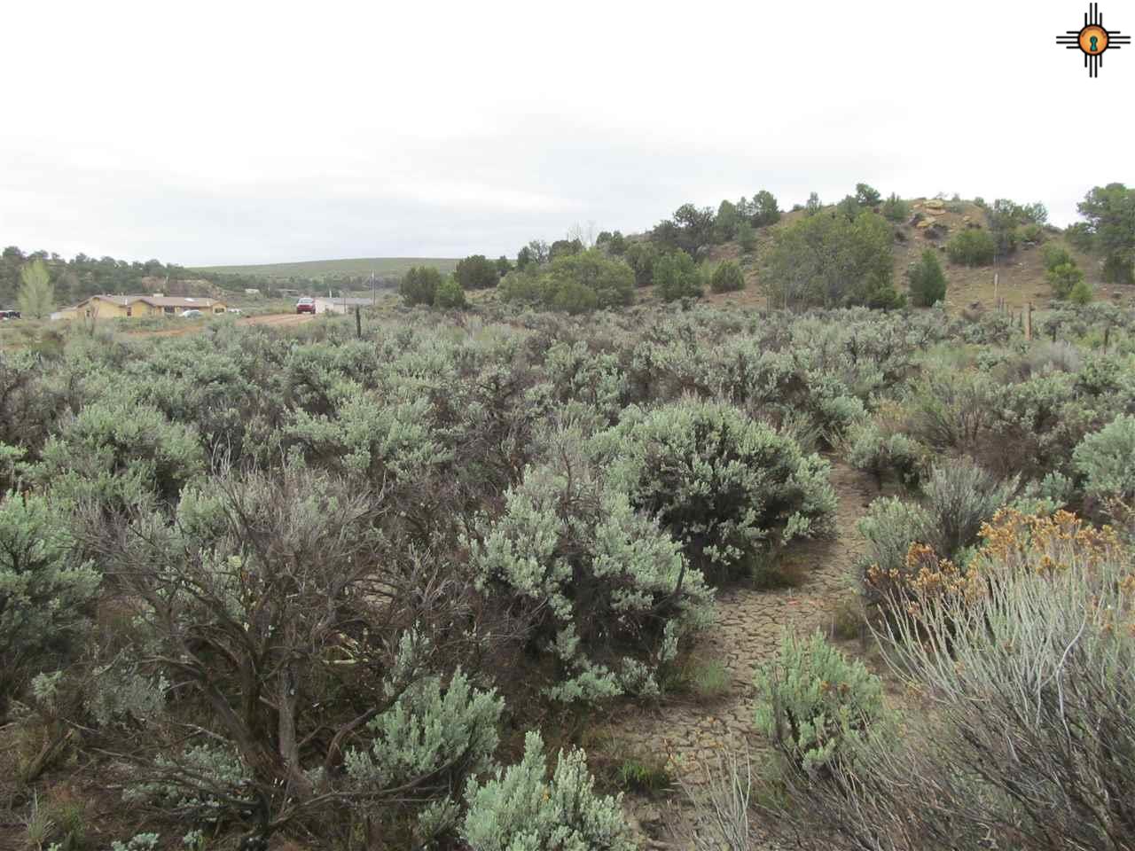 TBD Garden Lane, McKinley, NM 86515