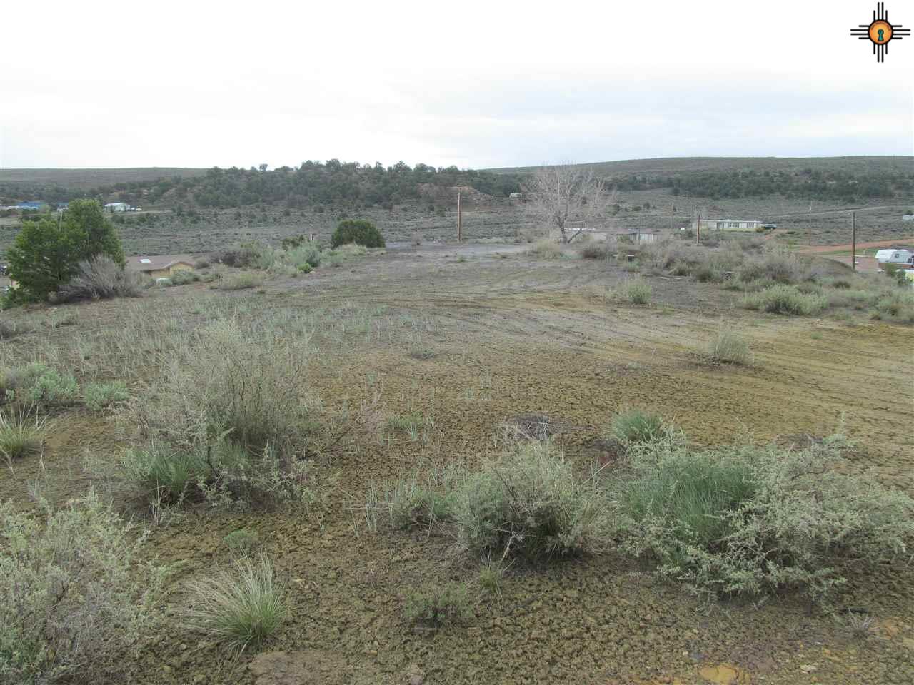 TBD Garden Lane, McKinley, NM 86515