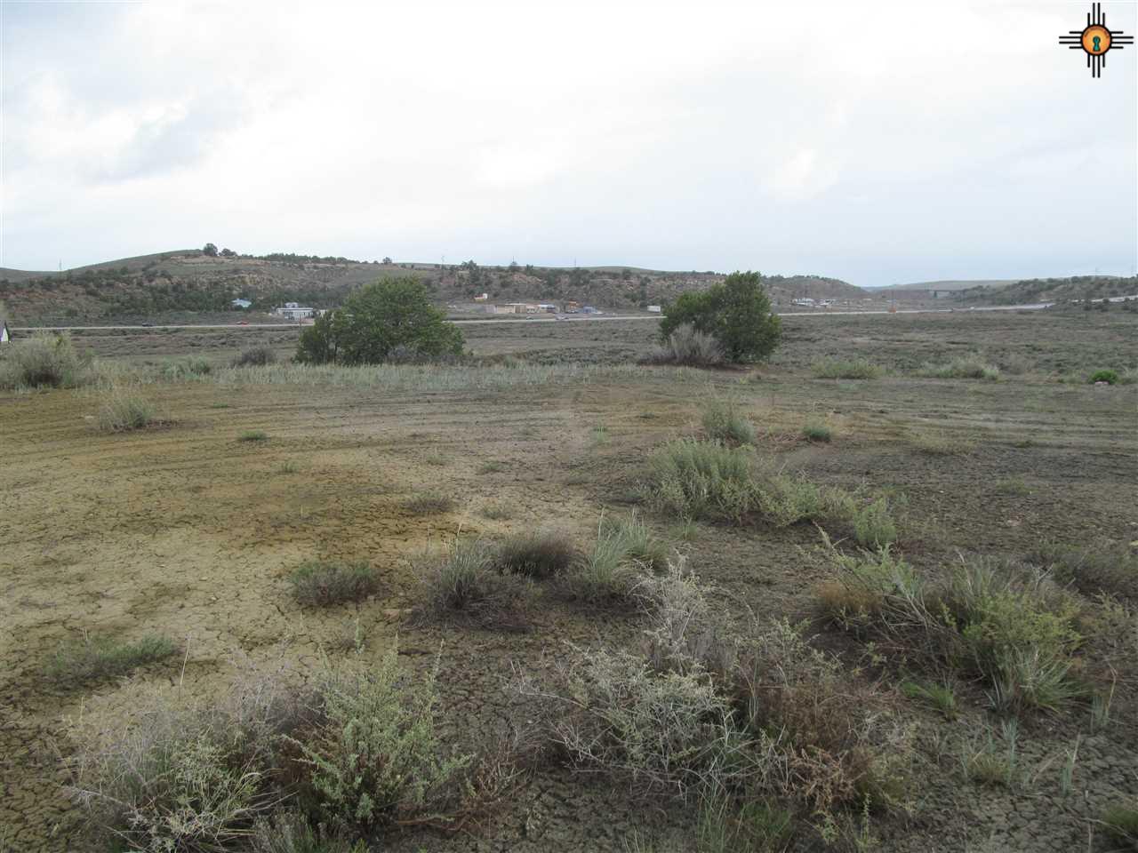 TBD Garden Lane, McKinley, NM 86515
