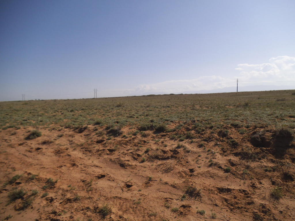 0 Harrison, Belen, NM 87002